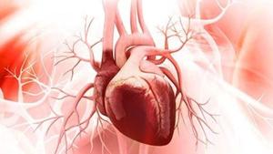 More Women In Study Reveals Heart Risk For Men