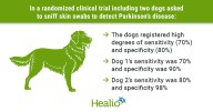 Dogs sniff out Parkinson’s disease from skin swabs