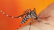 Officials: 1 dead in Kent Co. from West Nile virus