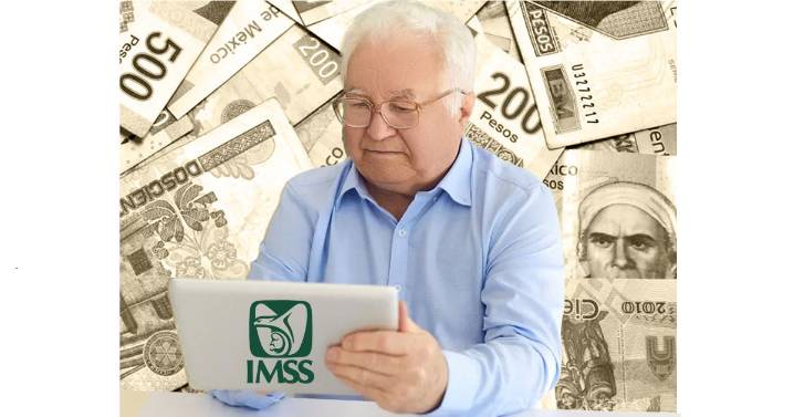 Además de la Renta Vitalicia, ¿qué otra pensión ofrece el IMSS?