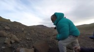 Así era el cocodrilo prehistórico que descubrieron en Argentina: convivió con dinosaurios