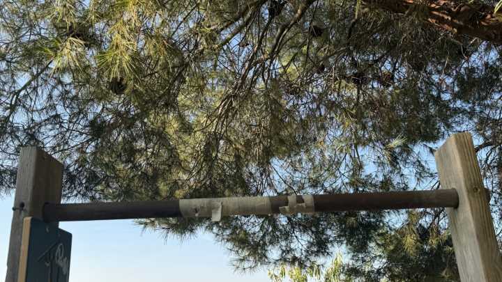 El PSOE denuncia el “grave” deterioro del Parque Mártires de la Libertad