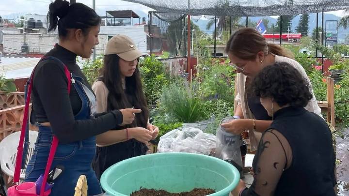 ¡No tires las sobras de la comida! Haz composta para tus plantas; invitan a taller