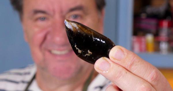 Cómo limpiar y cocer mejillones