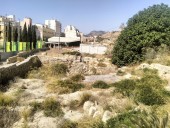 Desde la Coordinadora del Molinete alertan del riesgo de incendio en el Templo Capitolio