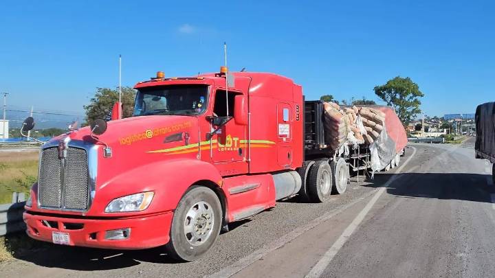 Tráiler tiró sacos de cemento al evitar arrollar a perros