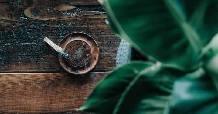 What Is Palo Santo?