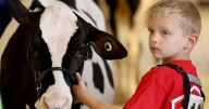 State Fair Guide: Everything you need to know about the 2025 NY State Fair