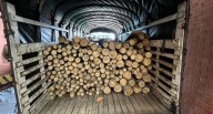 CAR incauta madera en diferentes municipios de Cundinamarca: así fueron los operativos