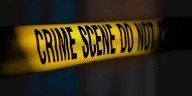 Trio Arrested After 100 Dead Animals Found in Old Saybrook Homes