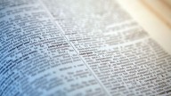 ¿Qué significan “skibidi”, “tradwife” y “delulu”, las últimas incorporaciones del Diccionario Cambridge?