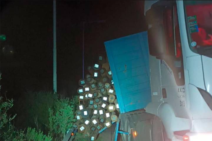 Camión transportaba postes y perdió su carga cerca de Colonia Alemana