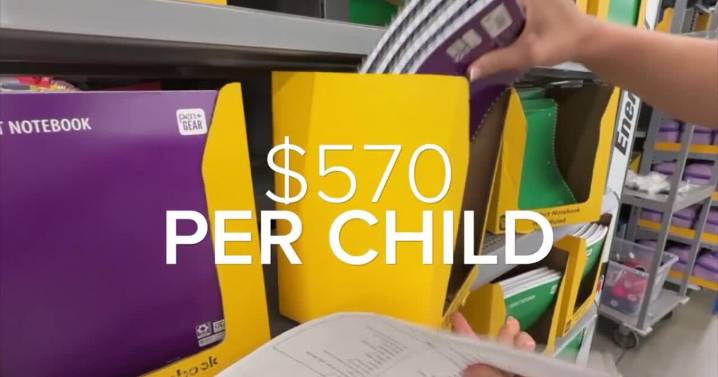Back-to-school shopping: Parents feeling the pinch as costs climb