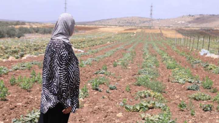 These West Bank Palestinian farmers are fighting for survival