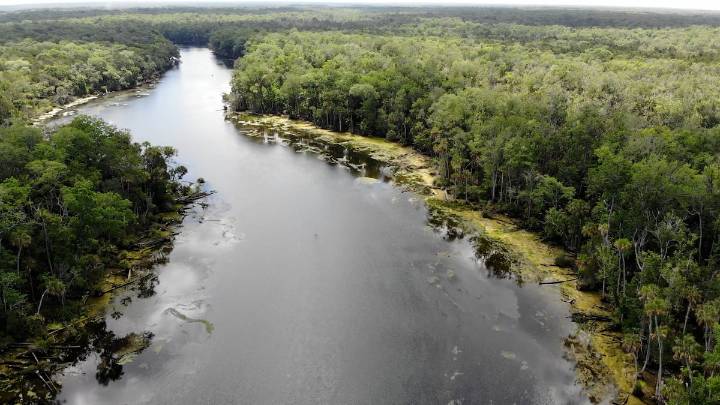 Chassahowitzka River campground to close, could be sold