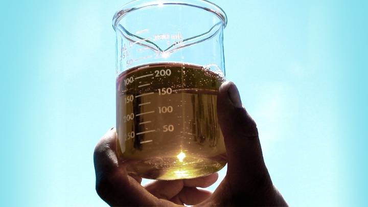 Biocombustibles: el Gobierno actualizó los precios luego de los reclamos del sector