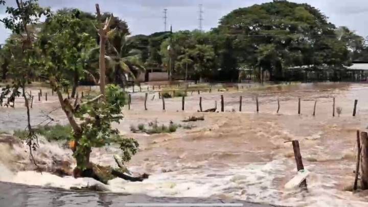 VIDEO: guariqueños tienden puentes improvisados frente a las lluvias y el olvido estatal