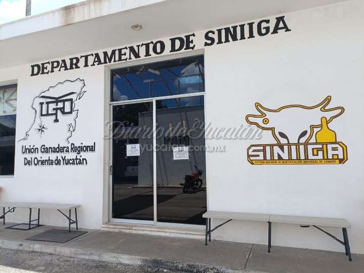Presuntas irregularidades en registros ganaderos ponen en riesgo estatus sanitario de Yucatán