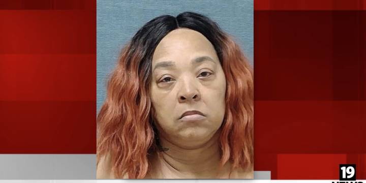 Stark County woman arrested after puppy dies in hot car