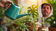 Álvaro Pedrera, experto en plantas: “Regar una vez por semana es un error”