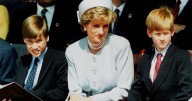 Heartbreaking update in Prince Harry and William feud as author drops Diana bombshell