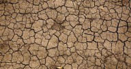 Why climate change is making salmonella outbreaks more common