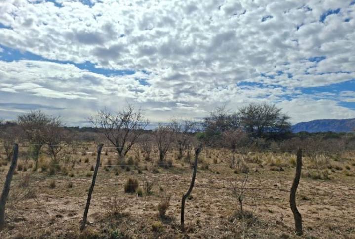 Temperaturas anormales y ráfagas intensas este martes en la provincia