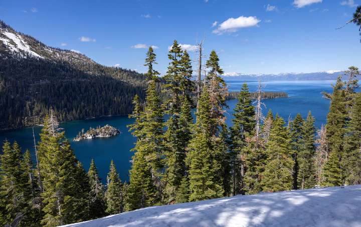 California resident tests positive for plague after camping in Lake Tahoe area
