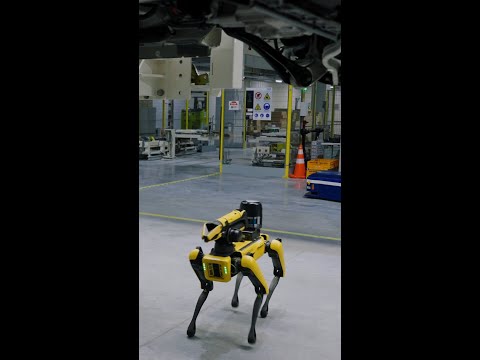 Robot dogs check human work at EV factory