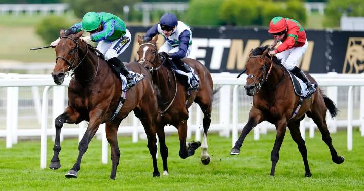 '14-1 shot will love the Sandown mud' – Jason Heavey's Saturday racing tips