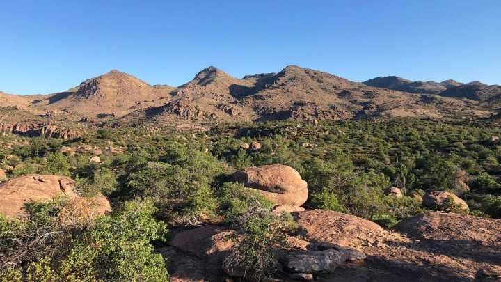 Appeals Court blocks Oak Flat land transfer to Resolution Copper