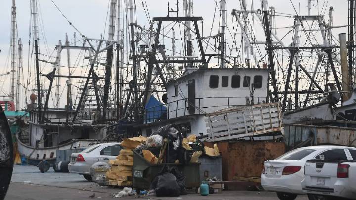 Armadores desconocen levantamiento de la veda del camarón en alta mar