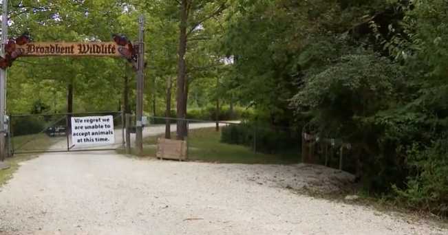 Animal activists say more could have been done to save 22 euthanized fawns