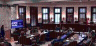 Lawmakers hear from veterans, medical professionals as they consider the efficacy of Ibogaine