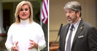 Cindy Myrex for Senate? Poll shows her in statistical tie with Garlan Gudger in State Senate race in 2026
