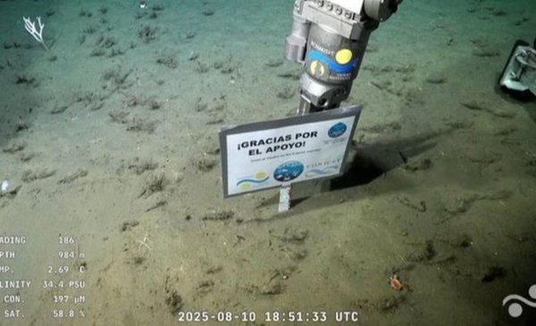 "Gracias por el apoyo": el cartel de los científicos del Conicet en el fondo del mar que emocionó a todos