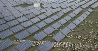 China races to build world's largest solar farm to meet emissions targets