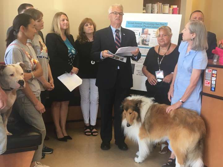DA seeks pet photos for Staten Island anti