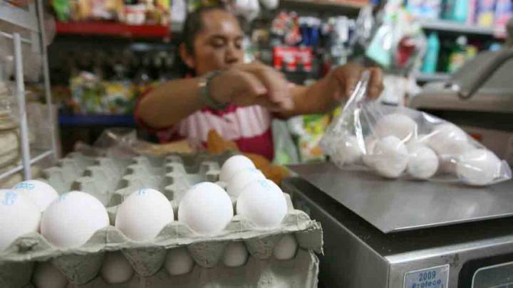 Estos fueron los productos de la canasta básica que más subieron y bajaron en julio