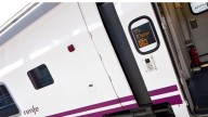 La Mesa del Tren de Almería recibirá con flores a los pasajeros procedentes de Madrid "en disculpa por el servicio"