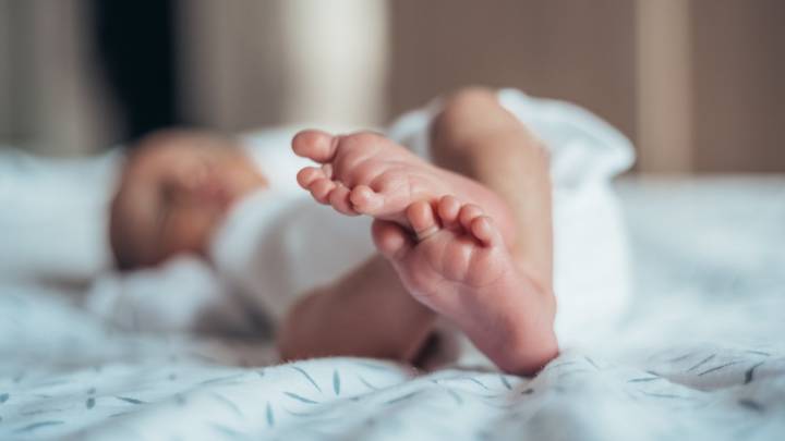 El bebé Chat Yipiti no fue registrado en Colombia, fue desmentido