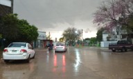 Fuertes tormentas provocaron caída de árboles y voladura de techos en varias localidades
