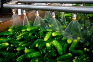 Andalucía habilita nuevas ayudas a la internacionalización de las pymes, priorizando las que realicen acciones en EEUU