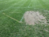 Barrington’s wet field policy: Rash, reactionary, ‘Yikes’
