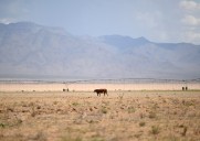 Chance of Colorado River deal is ‘tenuous’ just two months before federal deadline, negotiator says
