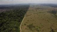Presión sobre la Amazonía