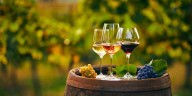 Colombia entre copas: cómo y qué vino se bebe en el país