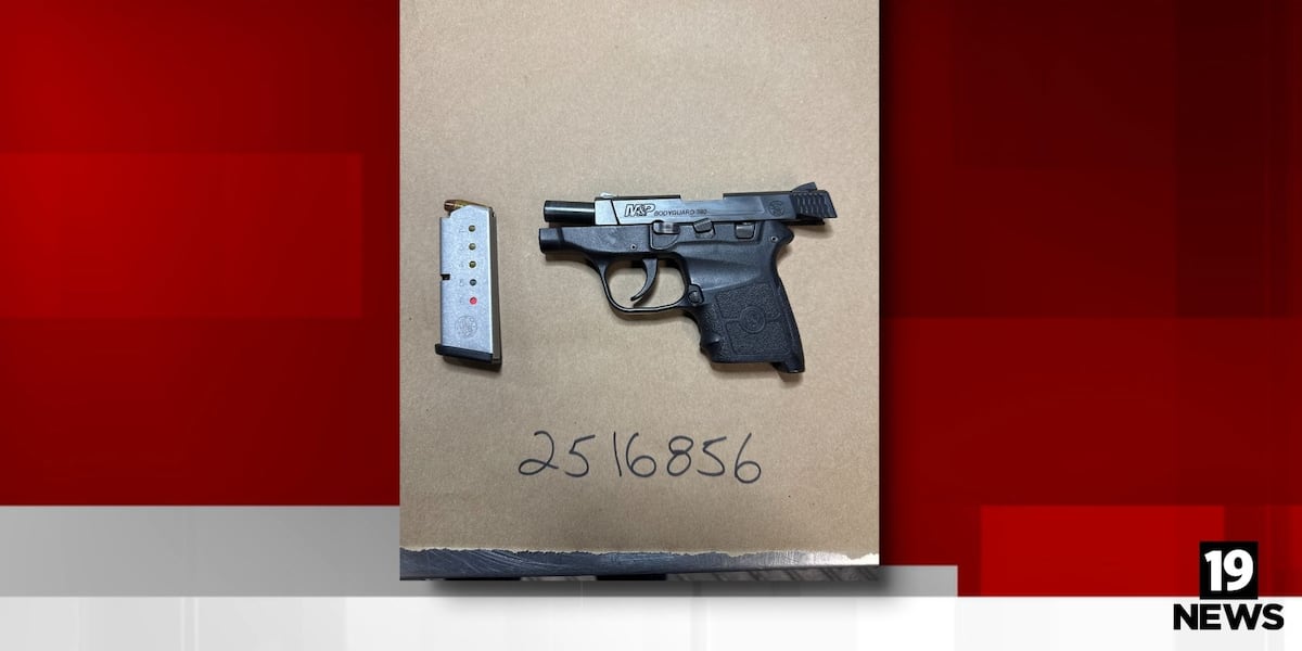 Westlake Police arrest New York man driving under the influence after he tried to run away with a gun