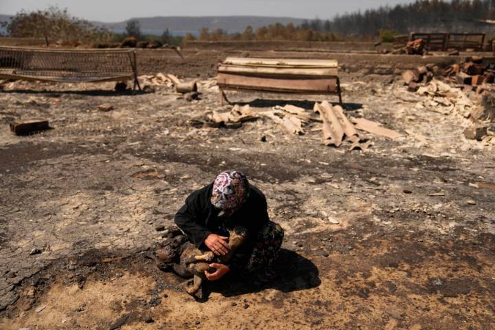 Climate change made deadly wildfires in Turkey, Greece and Cyprus more fierce, study finds