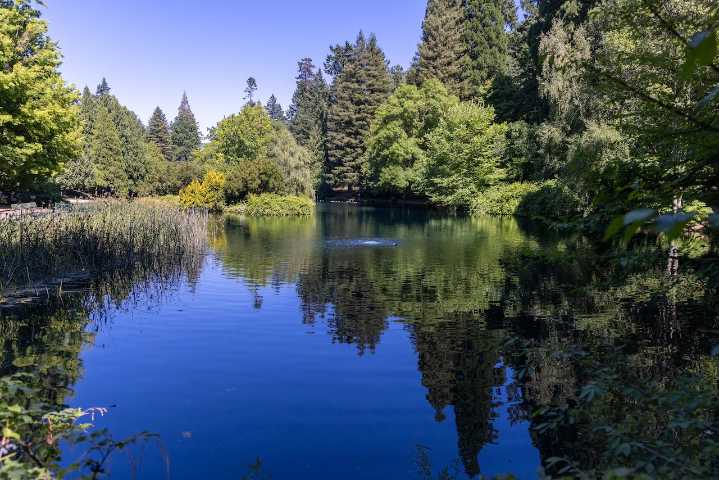 Se emite aviso de calidad del aire para Portland, condados de Multnomah y Clackamas